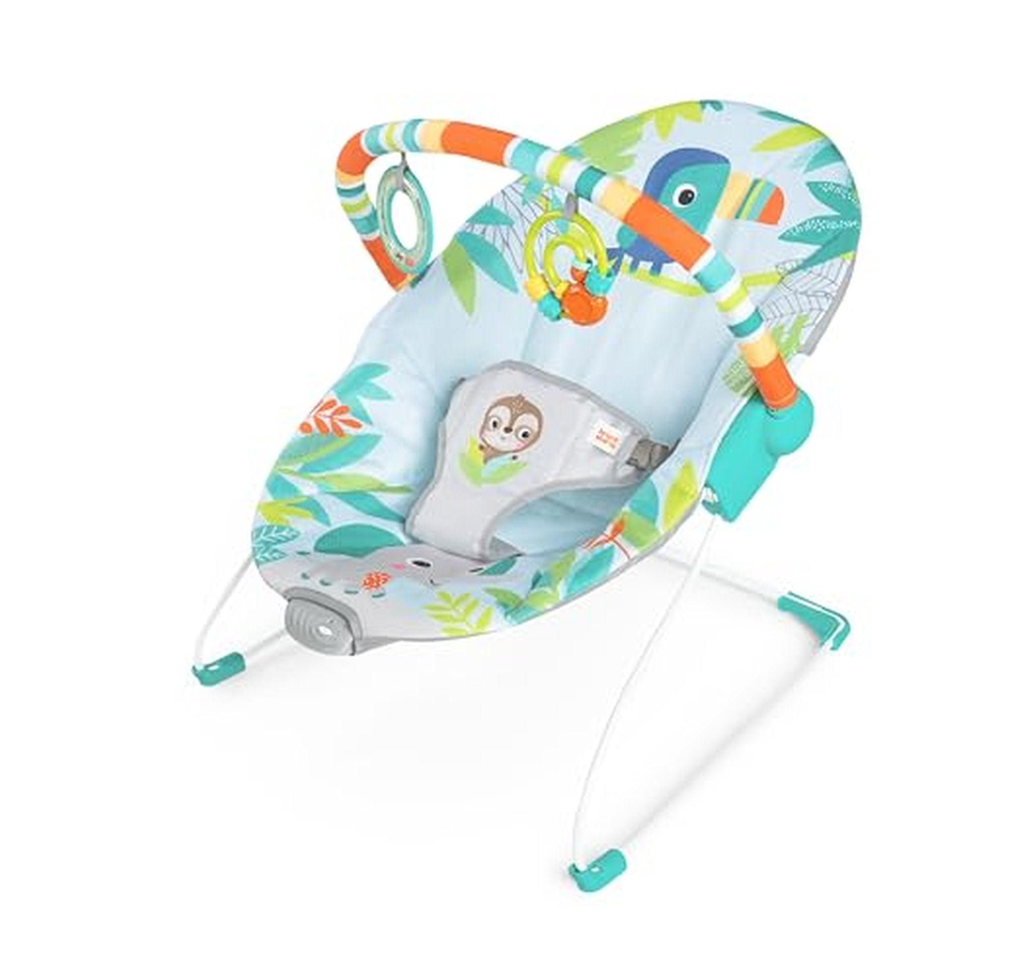 Bright Starts Soothing Vibrations Baby Bouncer Seat