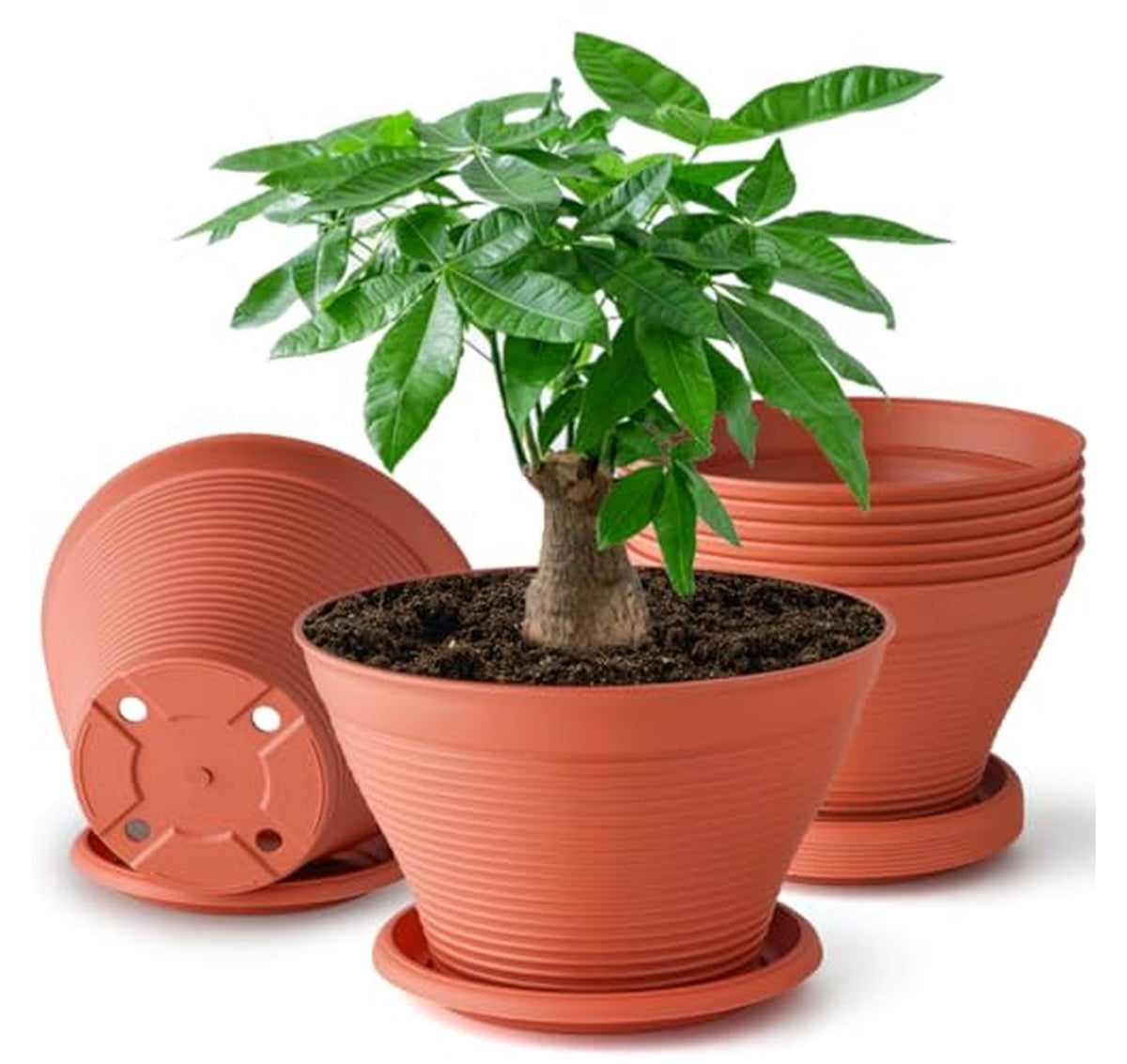 8 Pack 8-Inch Plastic Plant Pots with Saucers